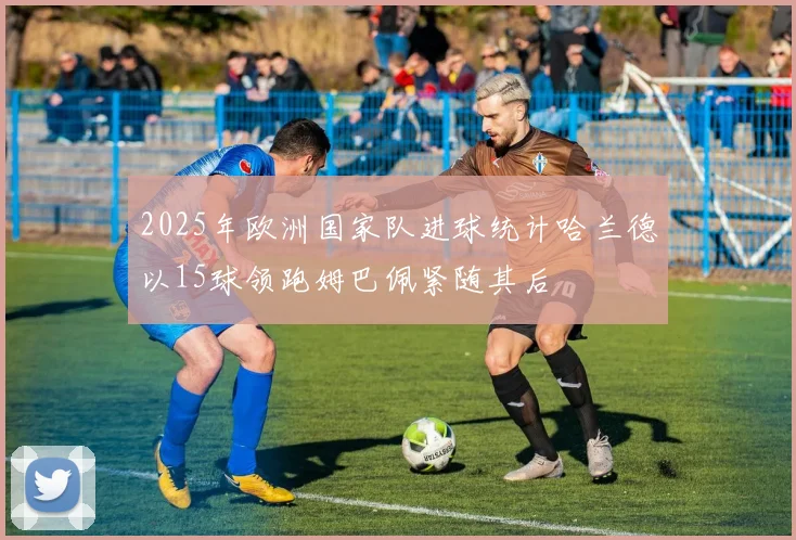 2025年欧洲国家队进球统计哈兰德以15球领跑姆巴佩紧随其后