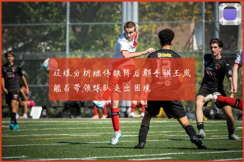 辽媒分析继伟缺阵后鄢手骐王岚嵚能否带领球队走出困境
