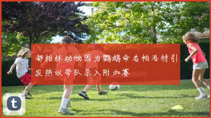 都柏林动物园为鹦鹉命名帕洛特引发热议带队杀入附加赛