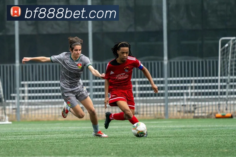 必发888平台生态图